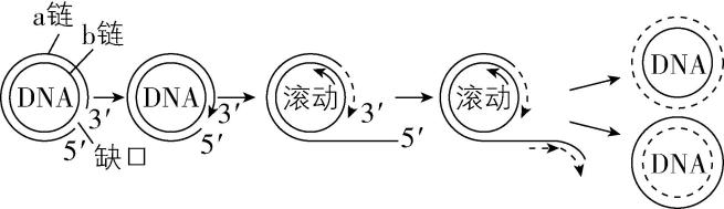 试题资源网 https://stzy.com