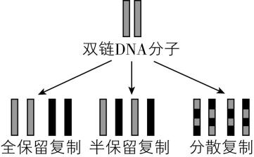 试题资源网 https://stzy.com