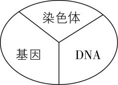试题资源网 https://stzy.com