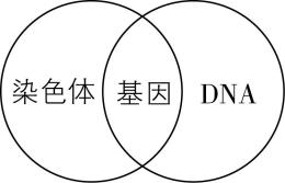 试题资源网 https://stzy.com