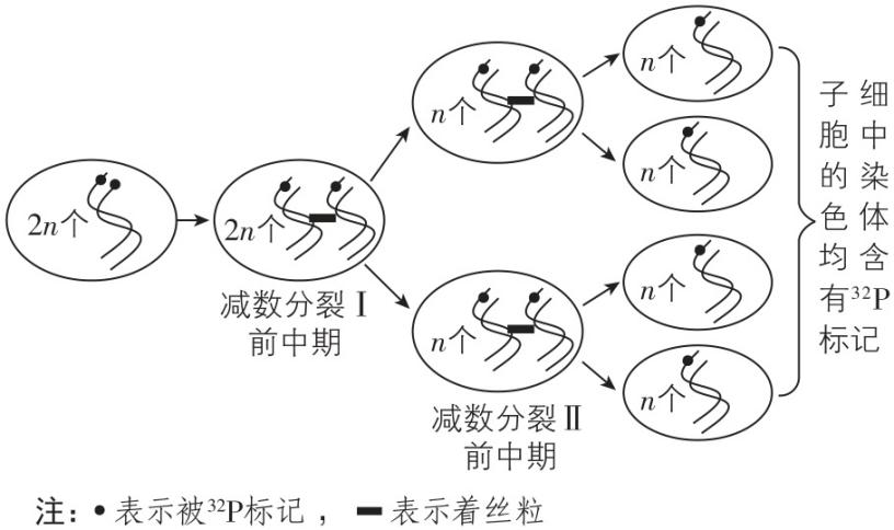 试题资源网 https://stzy.com