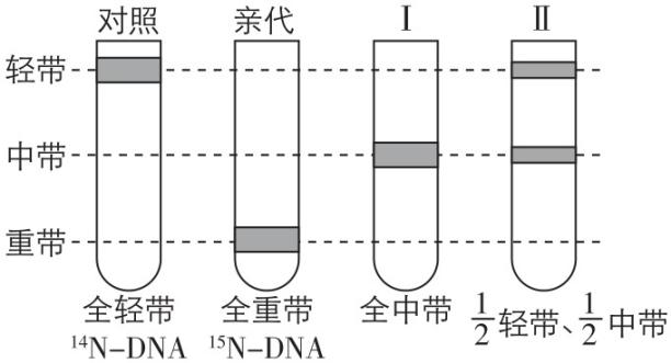 试题资源网 https://stzy.com