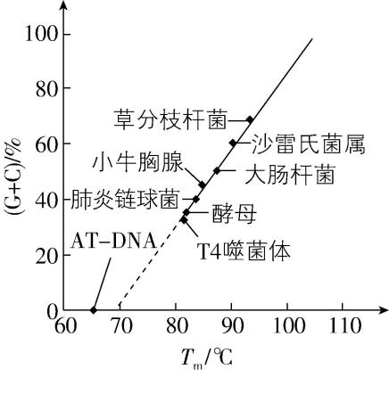 试题资源网 https://stzy.com