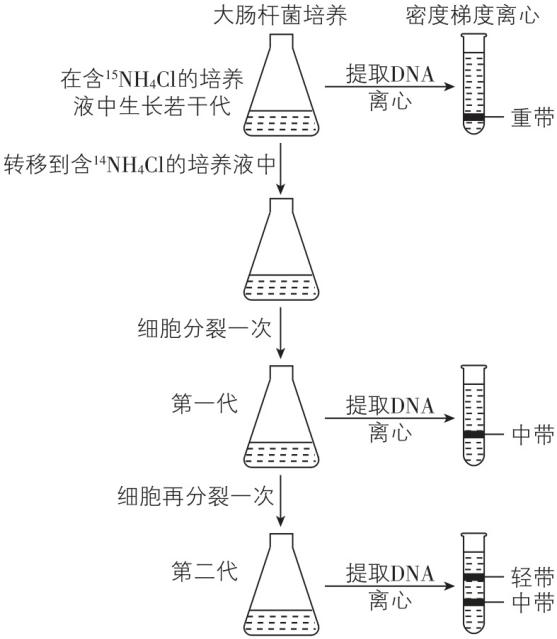 试题资源网 https://stzy.com