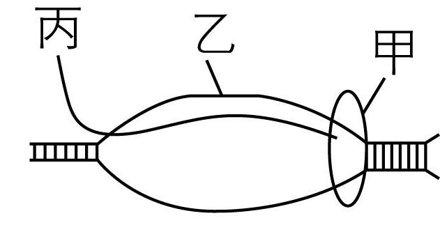 试题资源网 https://stzy.com