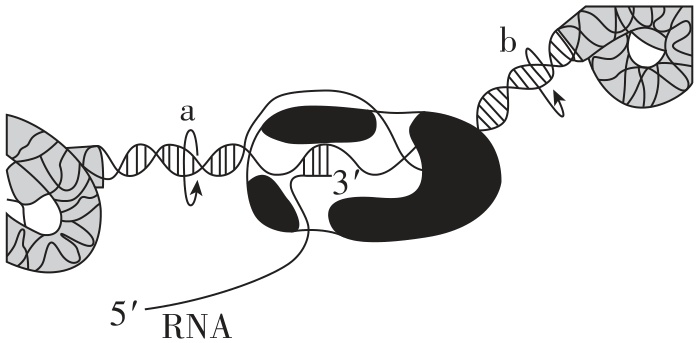 试题资源网 https://stzy.com