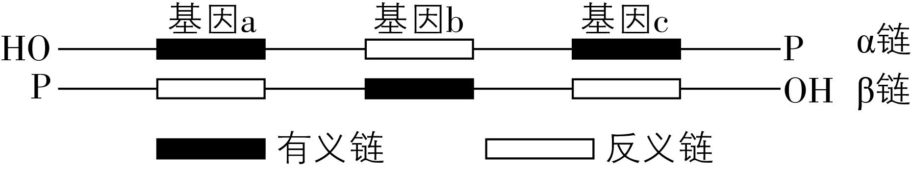 试题资源网 https://stzy.com