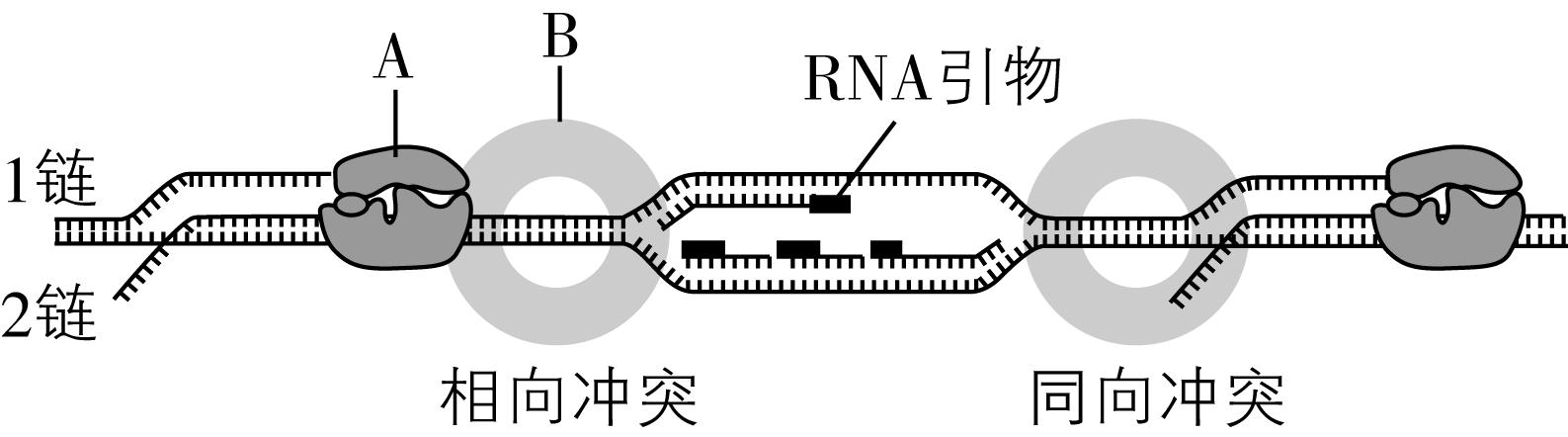试题资源网 https://stzy.com