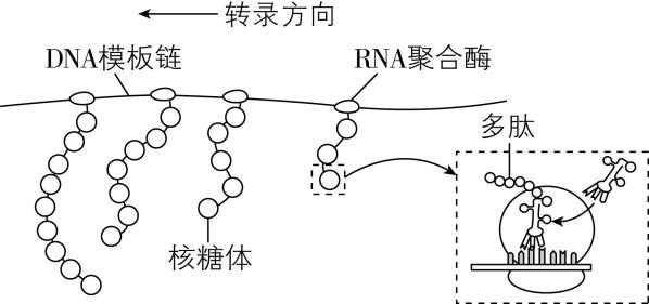 试题资源网 https://stzy.com