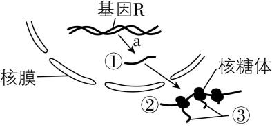 试题资源网 https://stzy.com