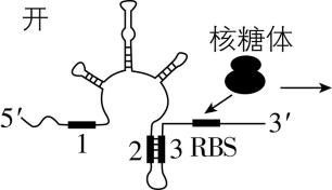 试题资源网 https://stzy.com