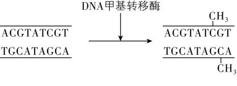 试题资源网 https://stzy.com