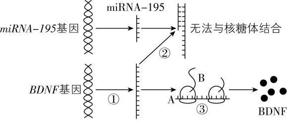 试题资源网 https://stzy.com