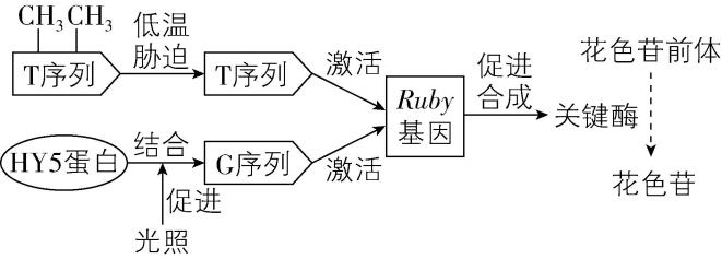试题资源网 https://stzy.com
