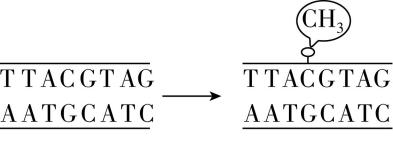 试题资源网 https://stzy.com