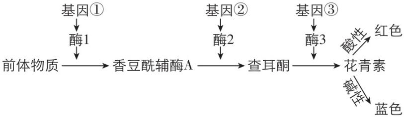 试题资源网 https://stzy.com