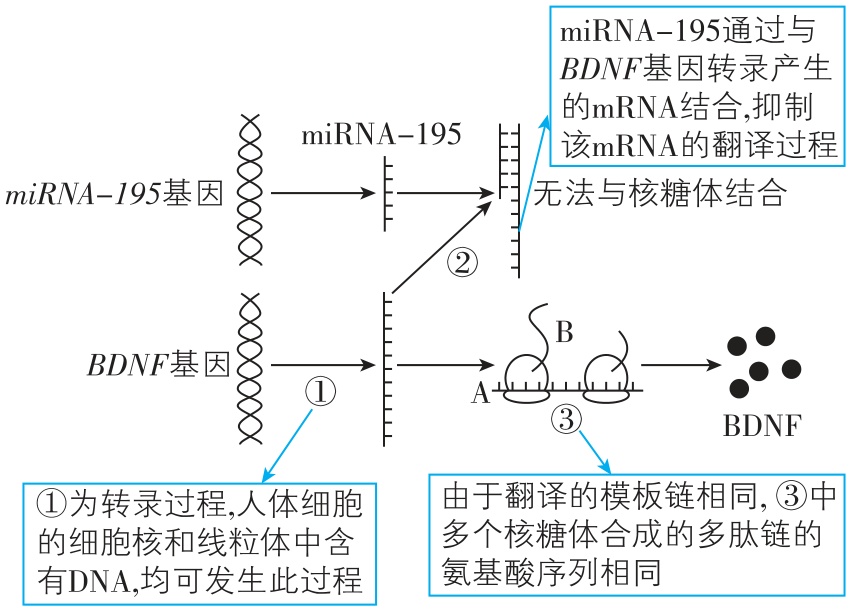 试题资源网 https://stzy.com