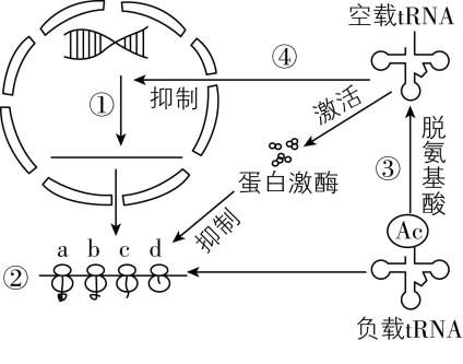 试题资源网 https://stzy.com