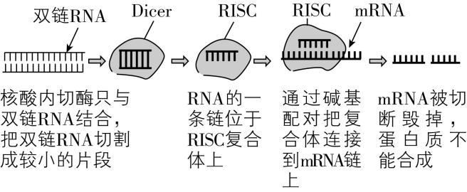 试题资源网 https://stzy.com