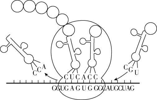 试题资源网 https://stzy.com