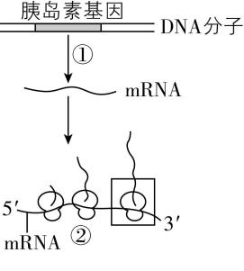 试题资源网 https://stzy.com
