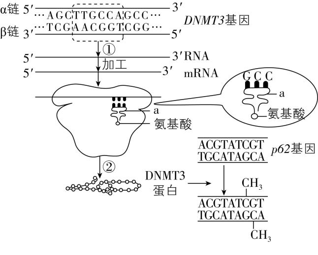 试题资源网 https://stzy.com