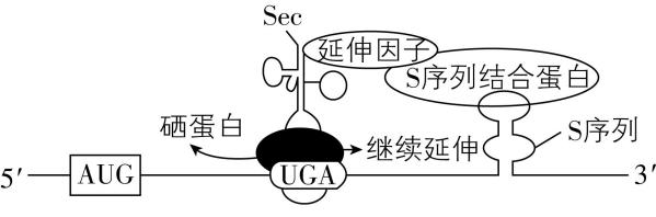 试题资源网 https://stzy.com