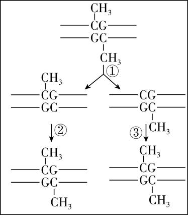 试题资源网 https://stzy.com