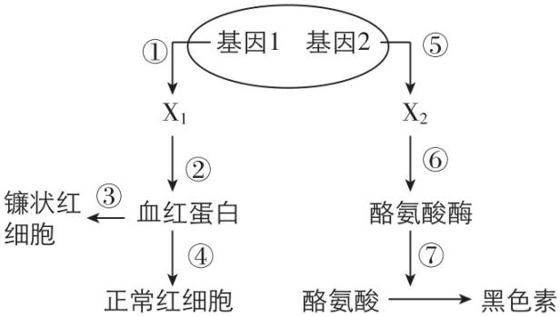 试题资源网 https://stzy.com