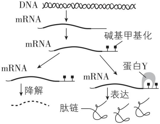试题资源网 https://stzy.com