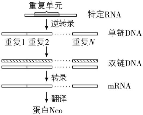 试题资源网 https://stzy.com