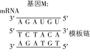 试题资源网 https://stzy.com