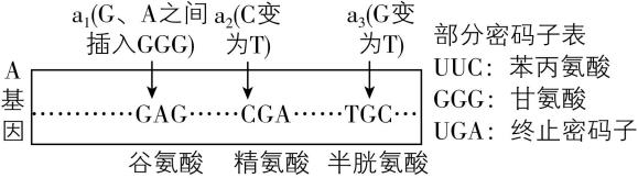 试题资源网 https://stzy.com