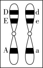 试题资源网 https://stzy.com