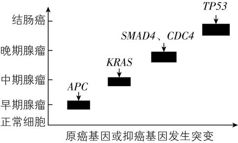 试题资源网 https://stzy.com
