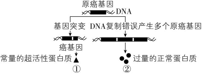 试题资源网 https://stzy.com