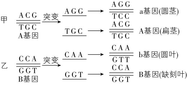 试题资源网 https://stzy.com