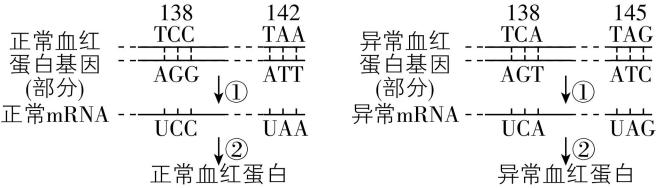 试题资源网 https://stzy.com