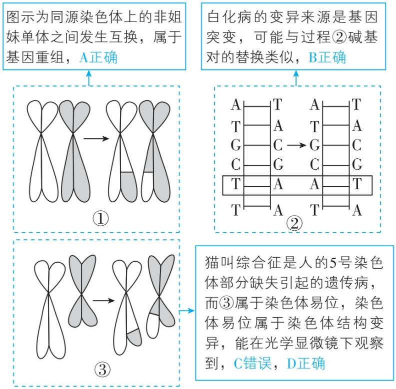 试题资源网 https://stzy.com