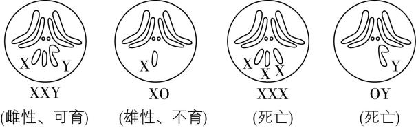 试题资源网 https://stzy.com