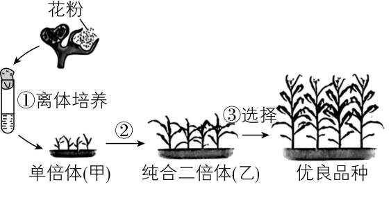试题资源网 https://stzy.com