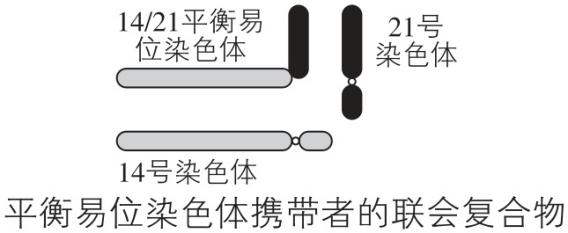 试题资源网 https://stzy.com