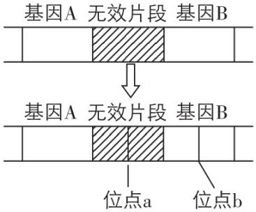 试题资源网 https://stzy.com