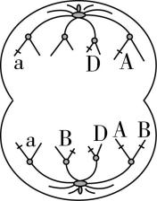 试题资源网 https://stzy.com