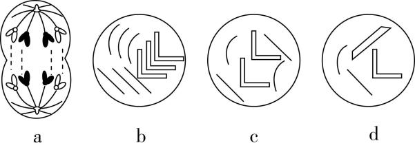 试题资源网 https://stzy.com