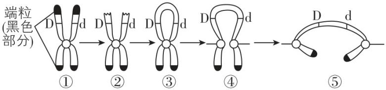 试题资源网 https://stzy.com
