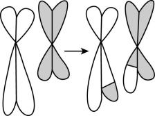 试题资源网 https://stzy.com