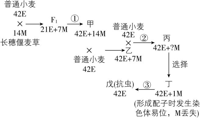 试题资源网 https://stzy.com