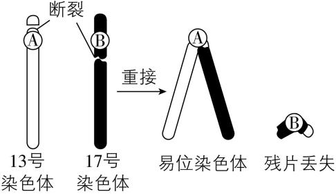试题资源网 https://stzy.com