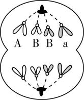 试题资源网 https://stzy.com